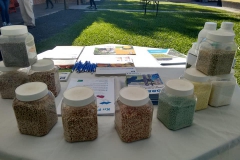 14JornadaCitricolaRegional6