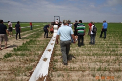 Arkansas-National-Rice-Reseasrch-Center-5